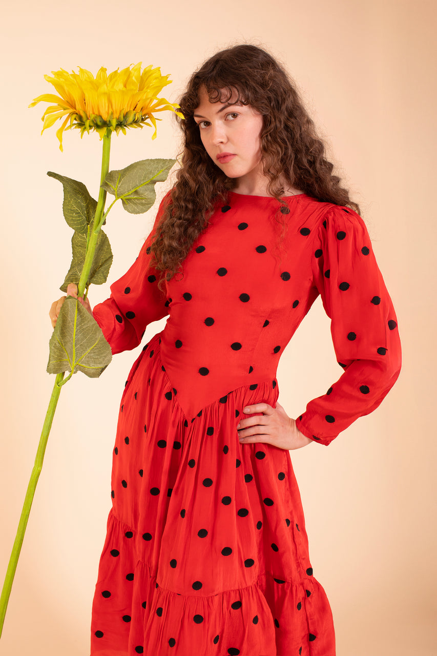 The Ladybug Dress