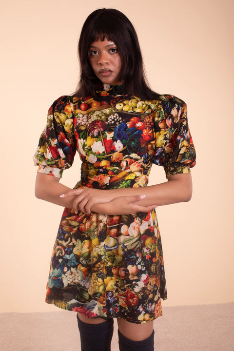 Dana Dress - Harvest