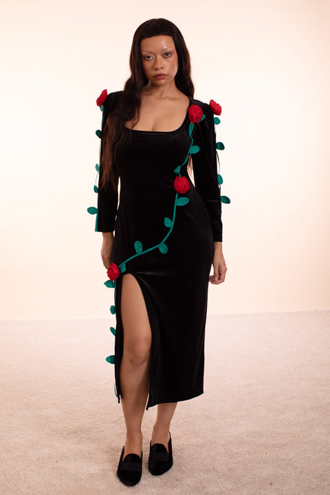 Climbing Rose Dress - Archive